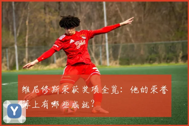 维尼修斯荣获奖项全览：他的荣誉簿上有哪些成就？