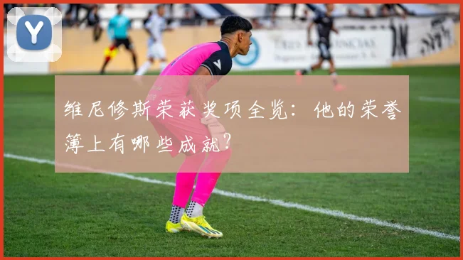 维尼修斯荣获奖项全览:他的荣誉簿上有哪些成就?