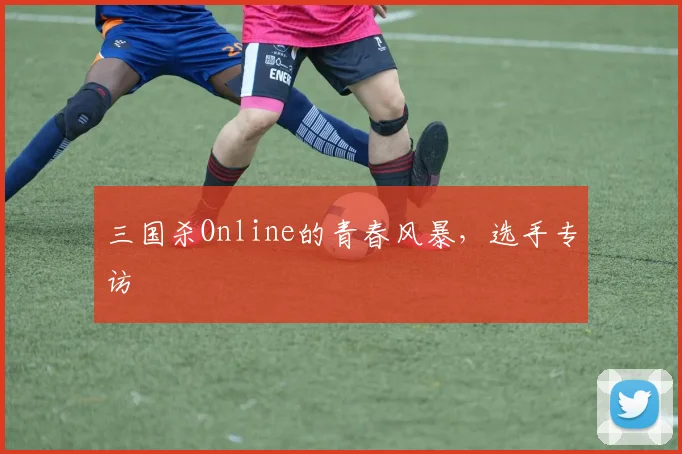 三国杀Online的青春风暴,选手专访