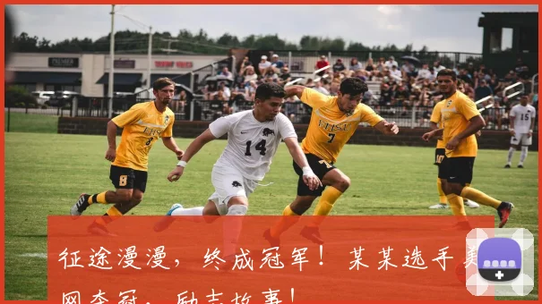 征途漫漫,终成冠军!某某选手美网夺冠,励志故事!