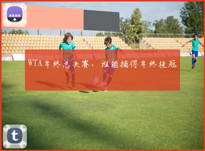 WTA年终总决赛，谁能摘得年终桂冠