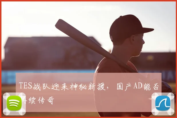 TES战队迎来神秘新援，国产AD能否再续传奇